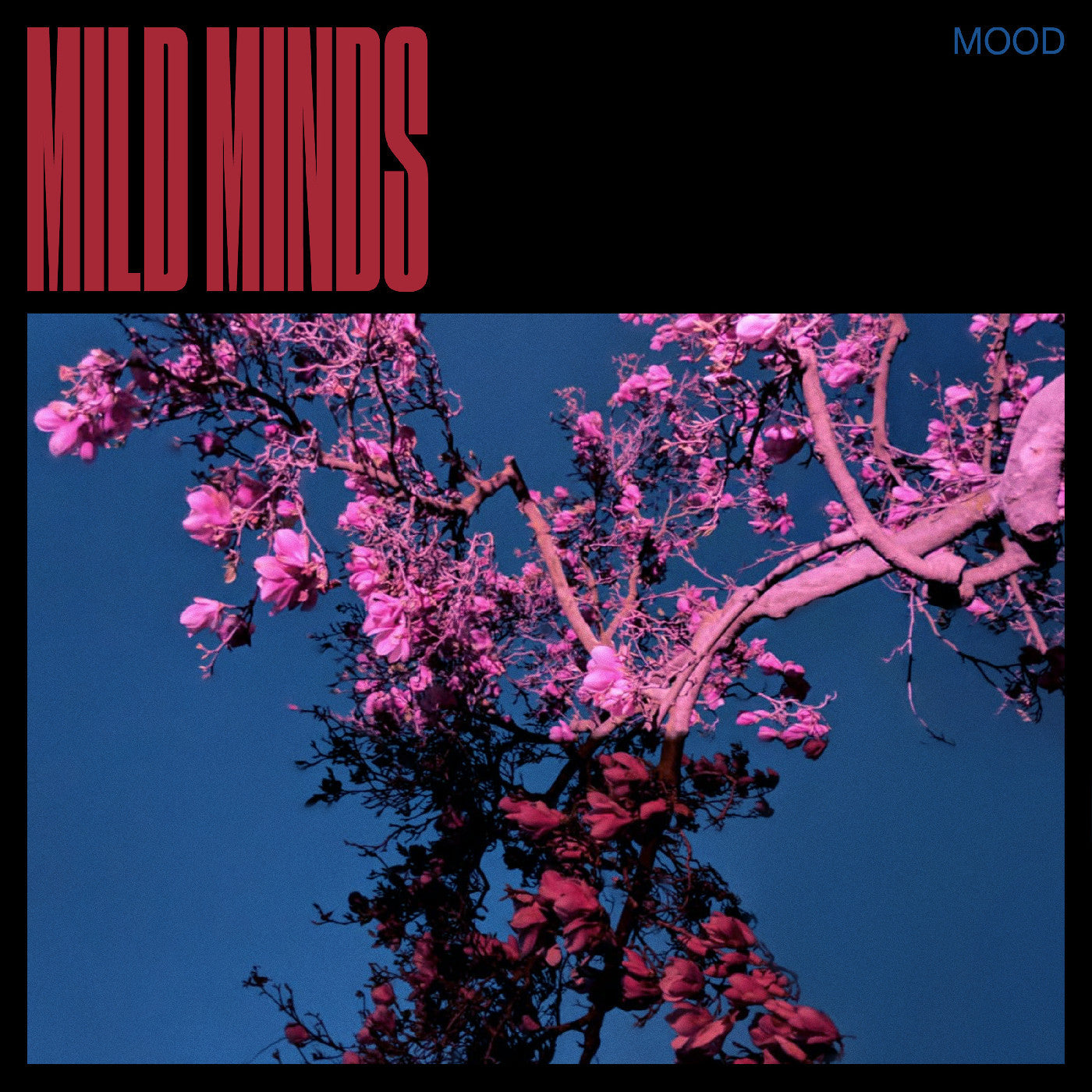 MILD MINDS - MOOD (BLUE VINYL)