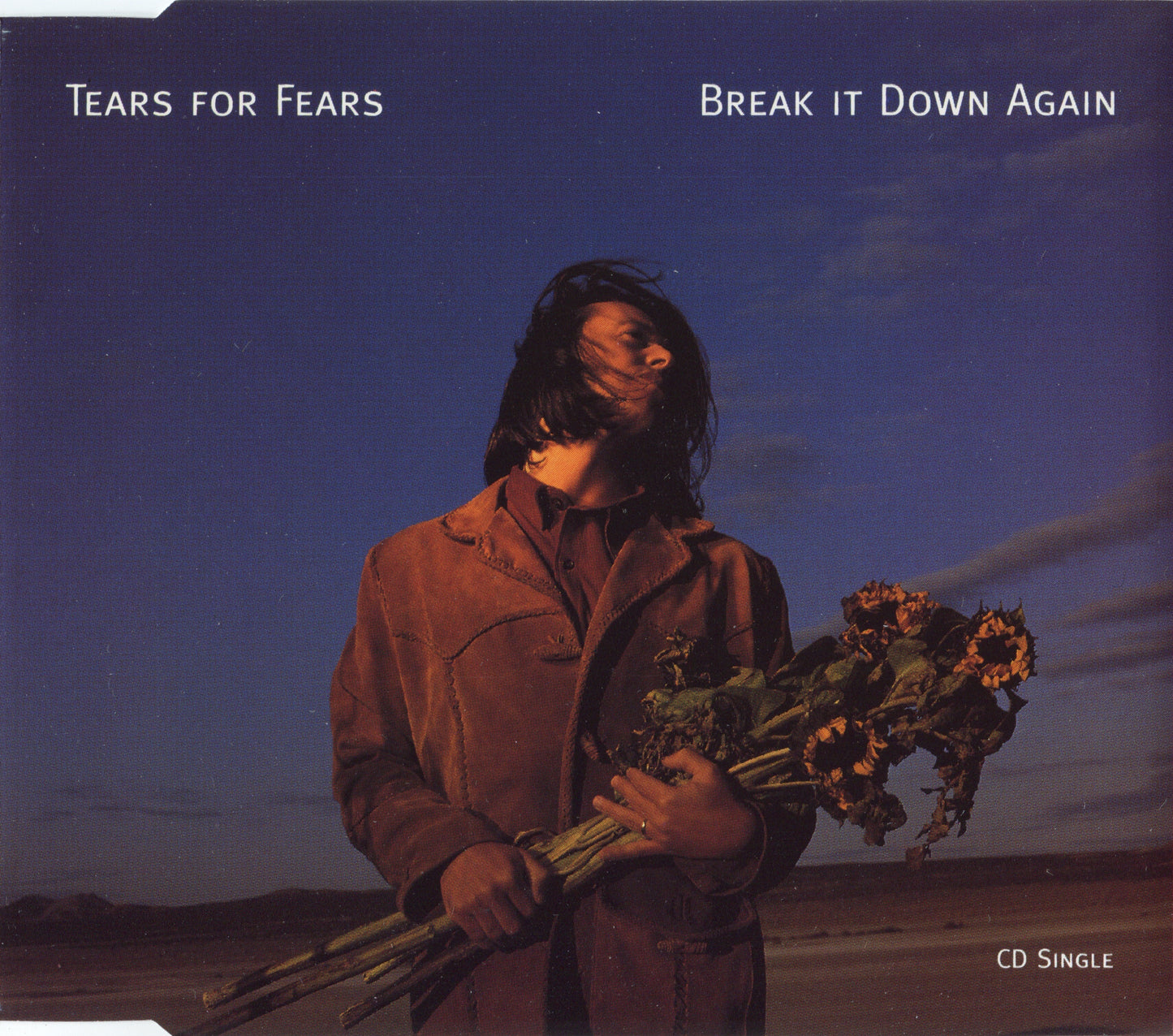 TEARS FOR FEARS - BREAK IT DOWN AGAIN (LTD ED)(CDS)