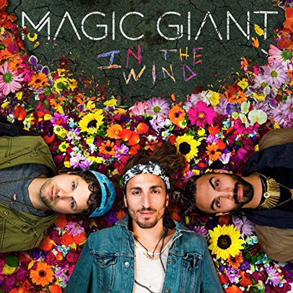 MAGIC GIANT - IN THE WIND