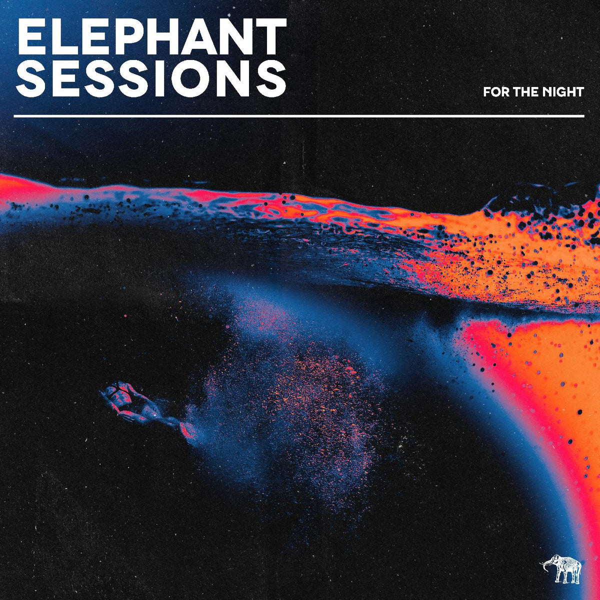 ELEPHANT SESSIONS - FOR THE NIGHT