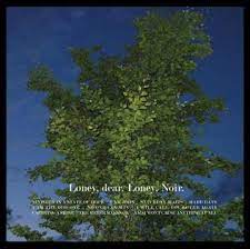LONEY DEAR - LONEY NOIR