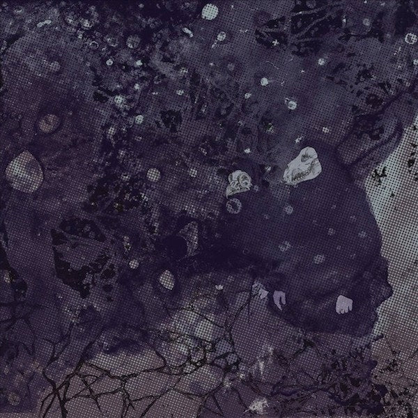 PINKISH BLACK - RAZED TO THE GROUND