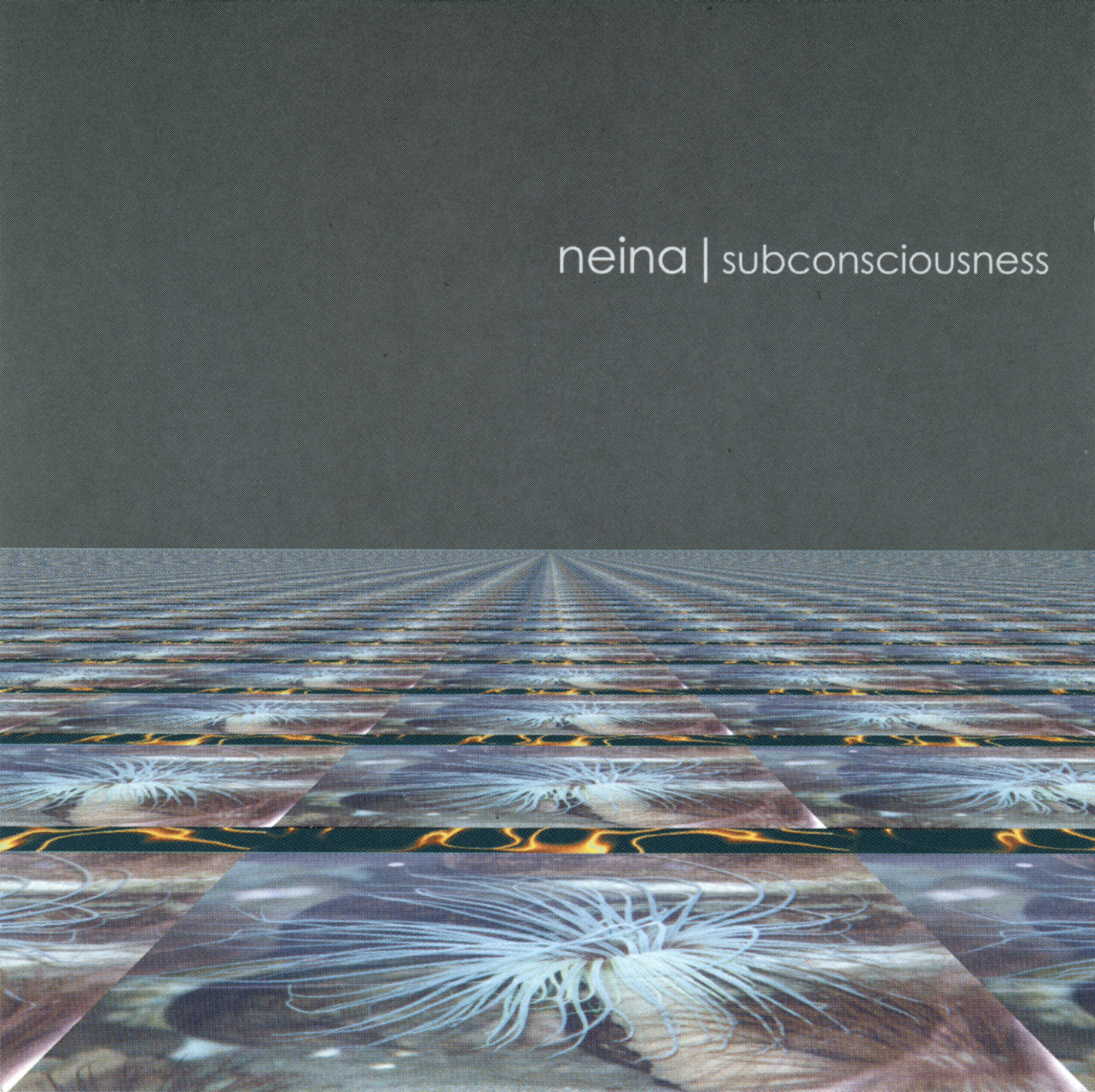 NEINA - SUBCONSCIOUSNESS