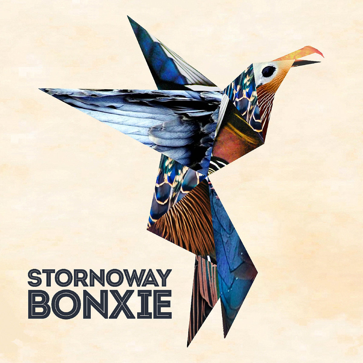 STORNOWAY - BONXIE (10TH ANNIVERSARY EDITION) (DELUXE EDITION, ECO COLOURED VINYL)