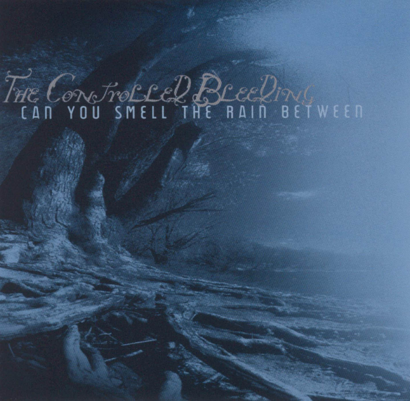 CONTROLLED BLEEDING - CAN YOU SMELL THE RAIN BETWEEN