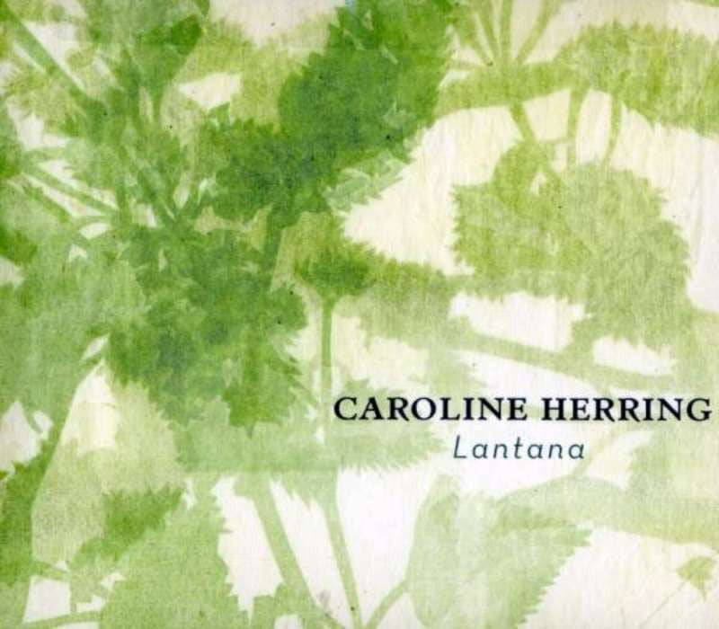 HERRING, CAROLINE - LANTANA