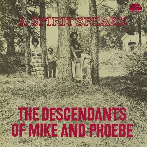 THE DESCENDANTS OF MIKE AND PHOEBE, BILL LEE - A SPIRIT SPEAKS (CD)