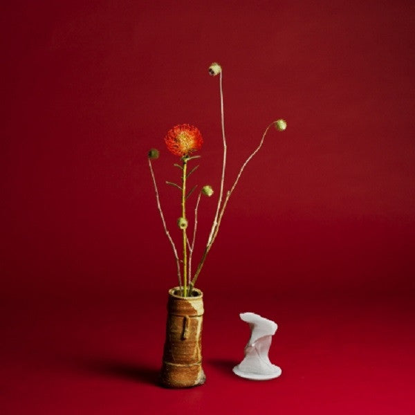 SEIHO - COLLAPSE