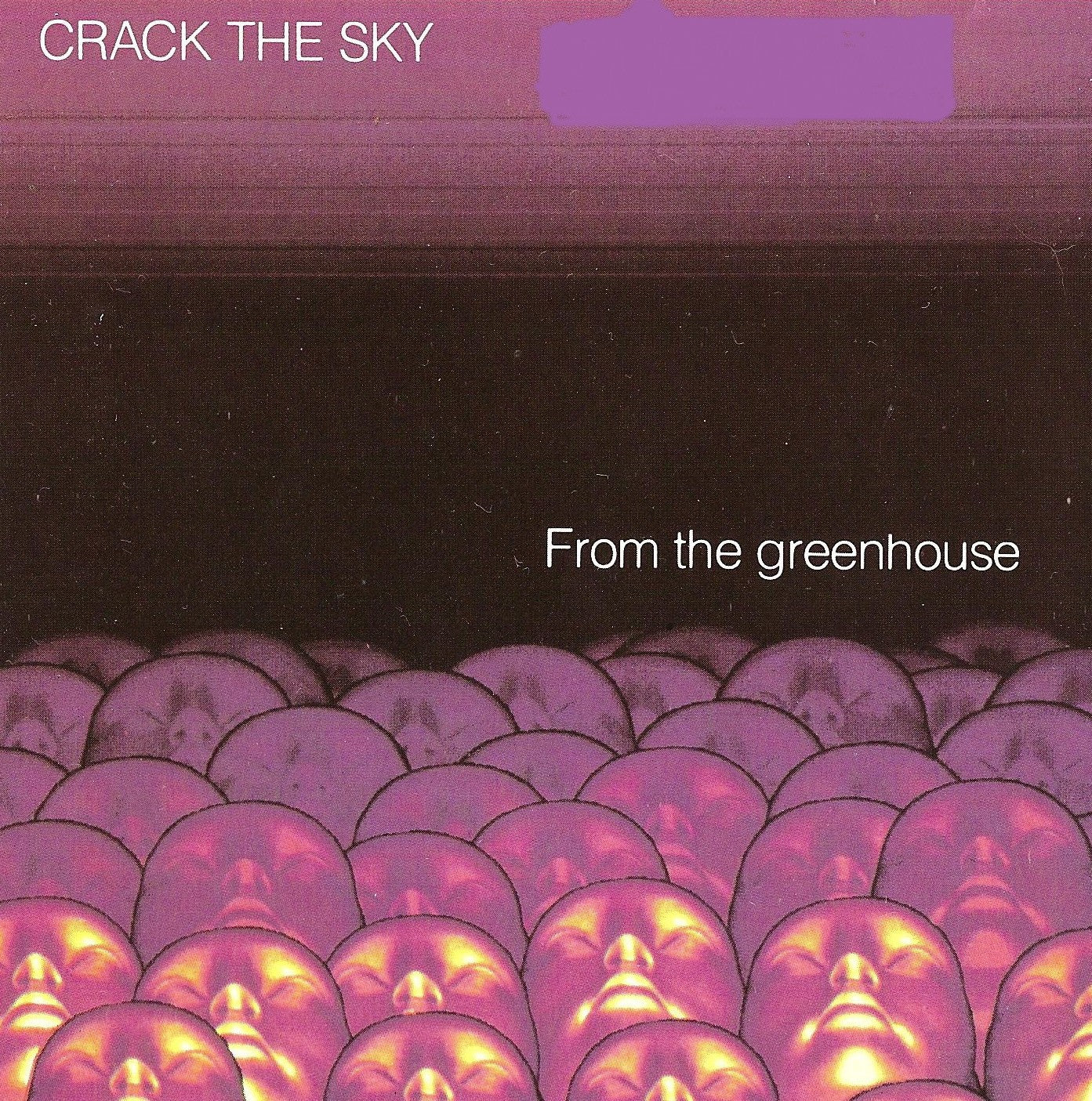 CRACK THE SKY - FROM THE GREENHOUSE