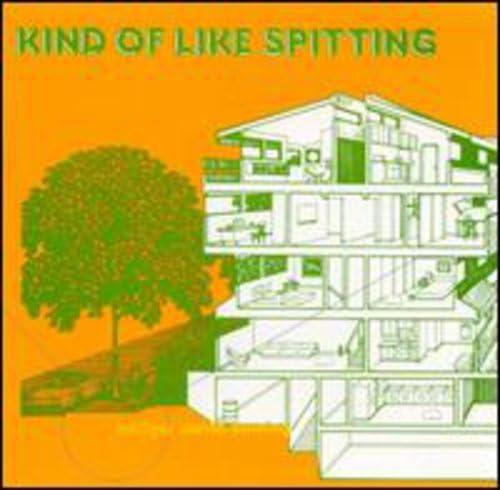 KIND OF LIKE SPITTING - BRIDGES WORTH BURNING (VINYL)