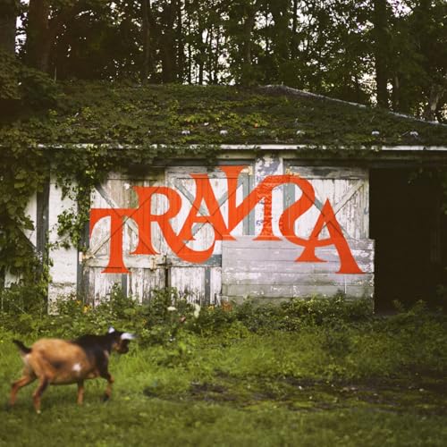 VARIOUS ARTISTS - TRANSA / VARIOUS - DELUXE EDITION (VINYL)