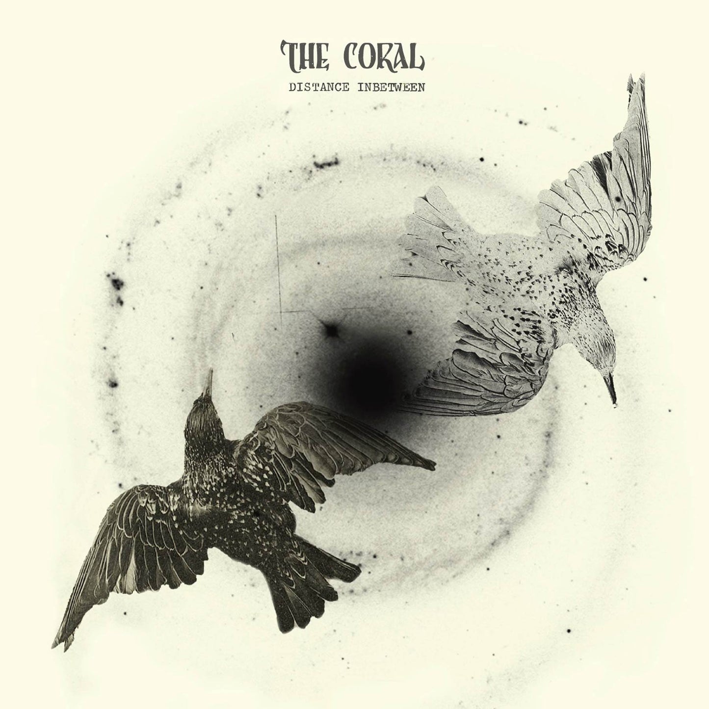 CORAL - DISTANCE INBETWEEN