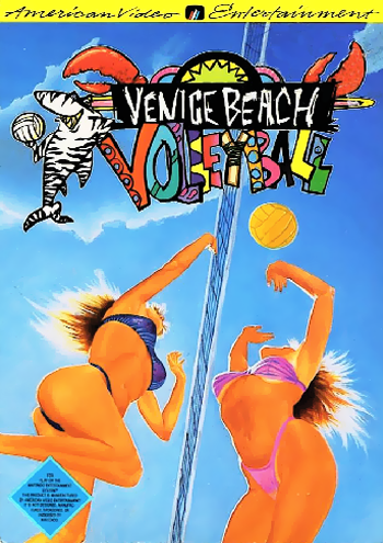 VENICE BEACH VOLLEYBALL - NES