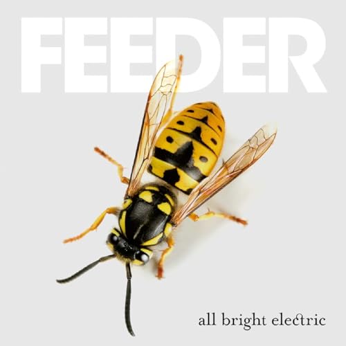 FEEDER - ALL BRIGHT ELECTRIC (VINYL)