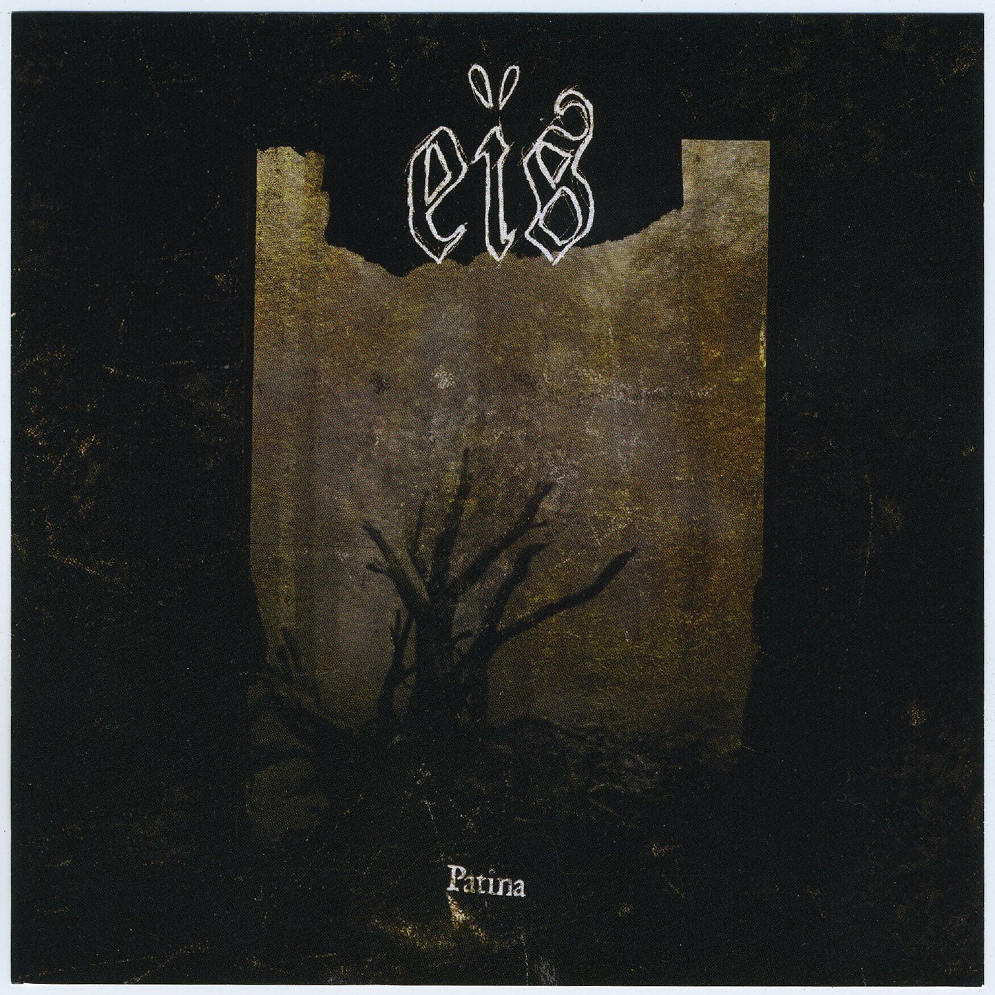 EIS - PATINA