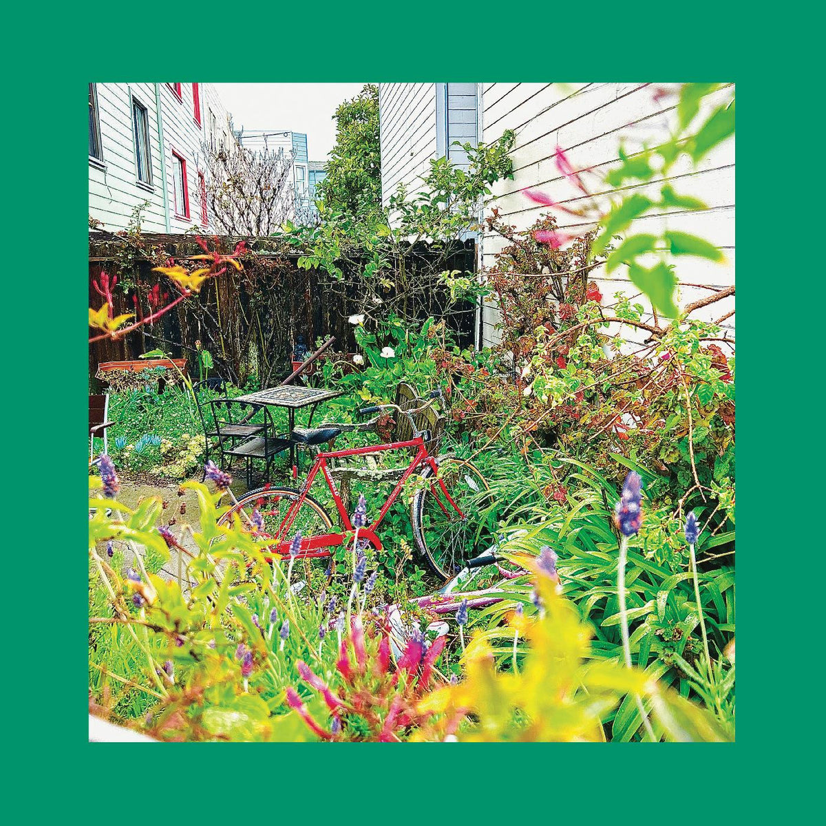 REDS, PINKS & PURPLES, THE - UNWISHING WELL (NASTURTIUM ORANGE VINYL)