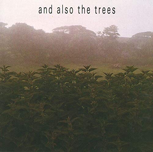 AND ALSO THE TREES - ST