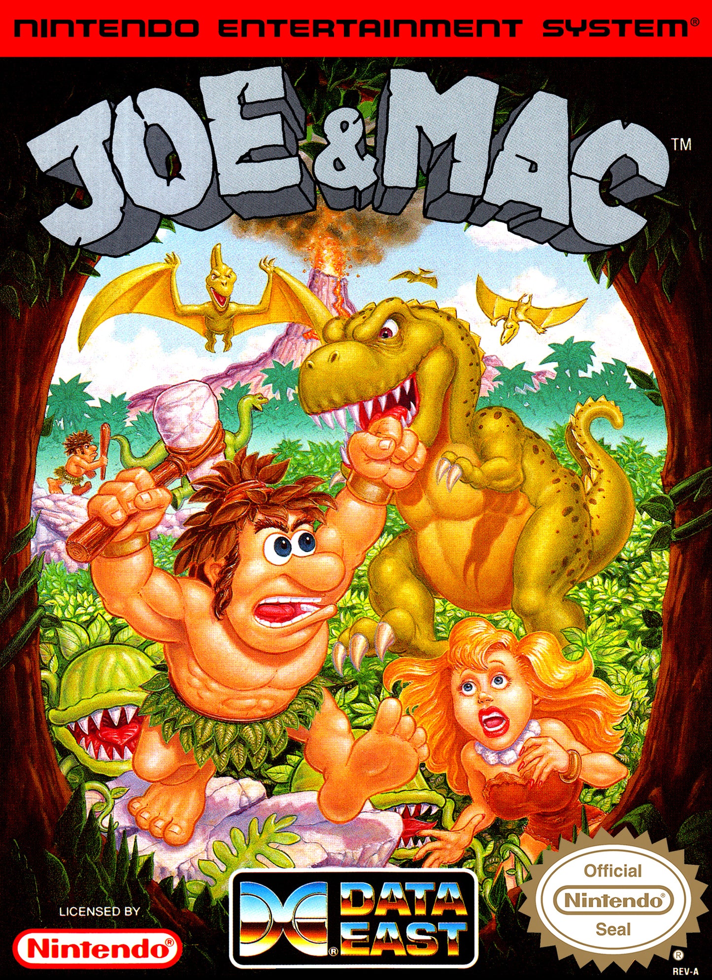 JOE & MAC - NES (W/BOX)