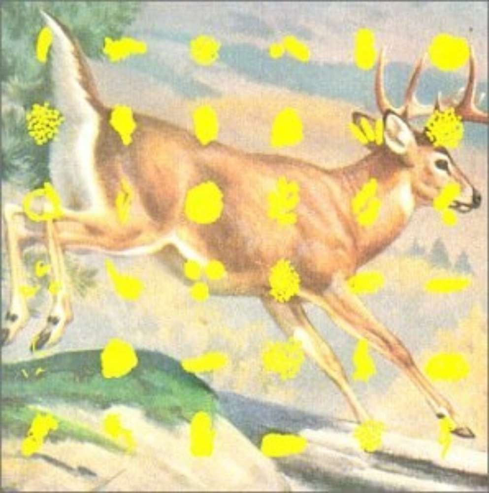 VARIOUS ARTISTS - FIELDS AND STREAMS