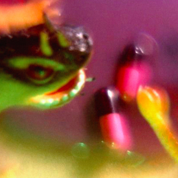 BUSH TETRAS - TAKE THE FALL