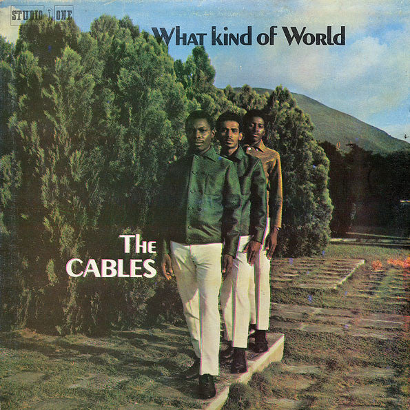 CABLES - WHAT KIND OF WORLD
