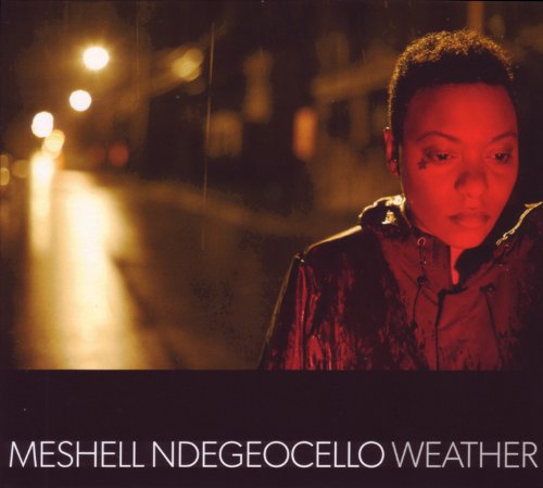 MESHELL NDEGEOCELLO - WEATHER