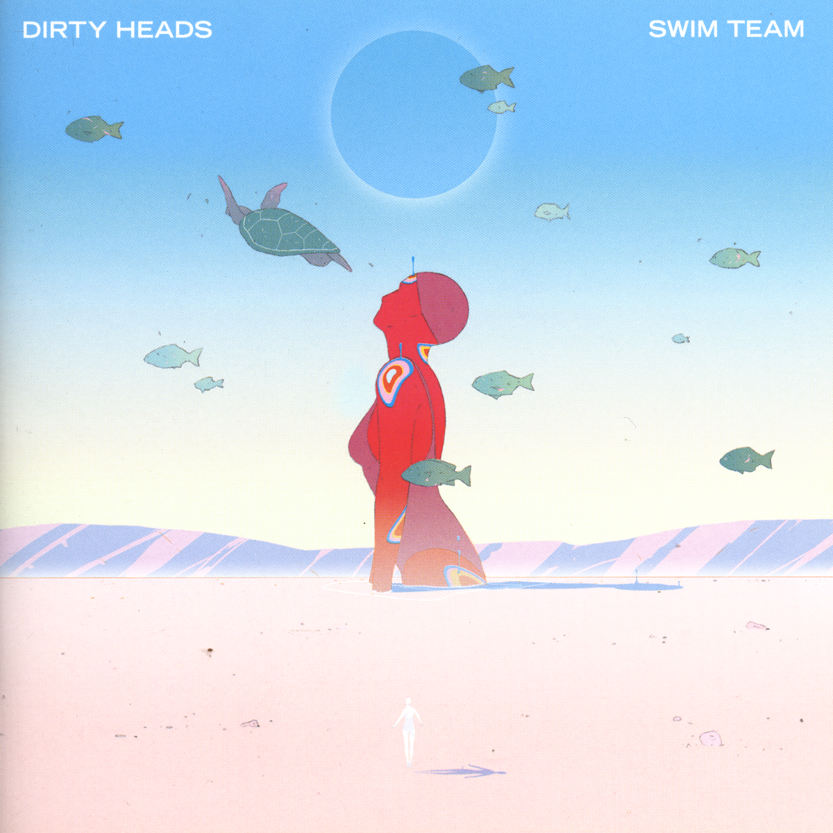 DIRTY HEADS - SWIM TEAM