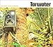 TARWATER - ANIMALS SUNS & ATOMS