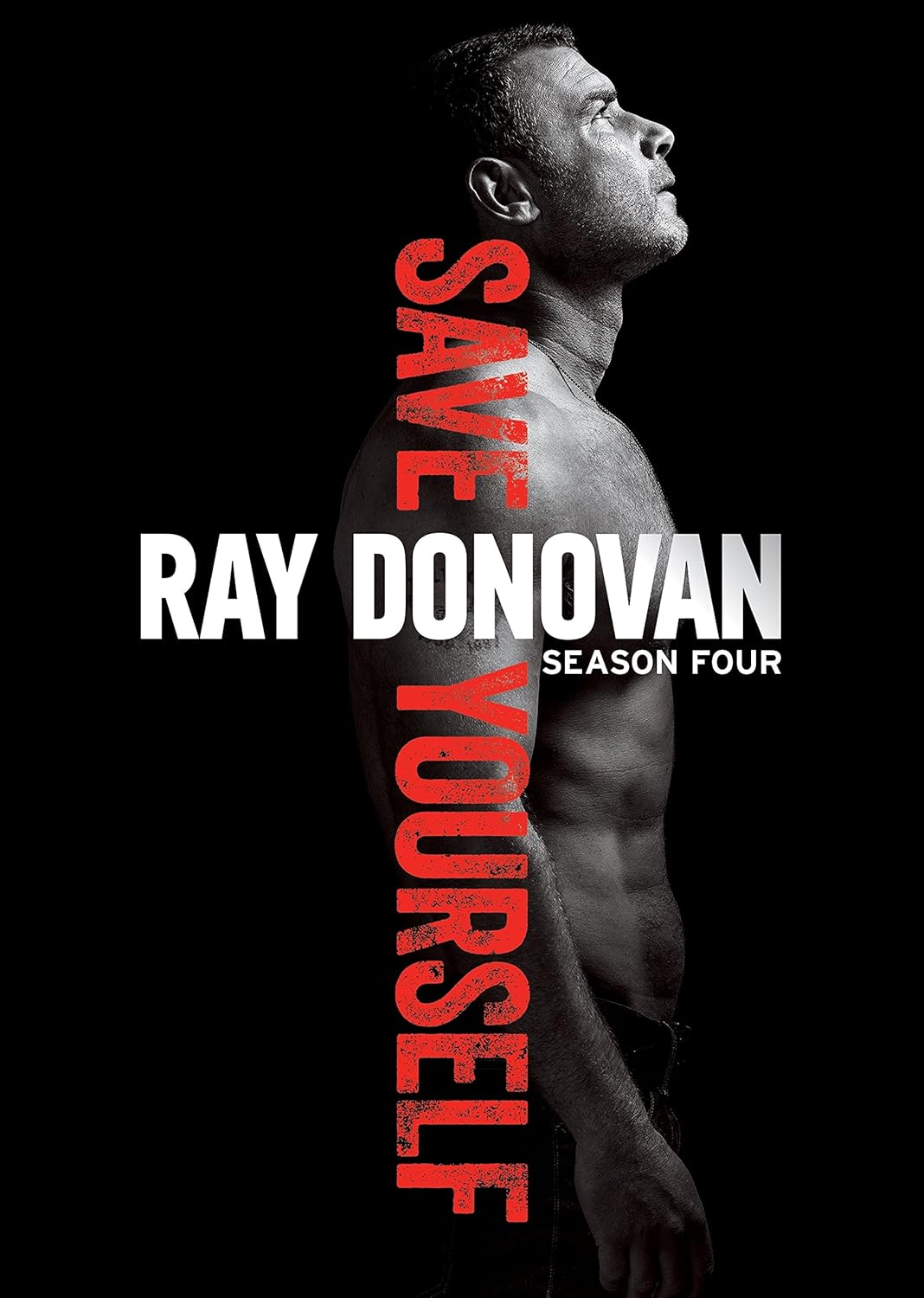 RAY DONOVAN - DVD-SEASON FOUR