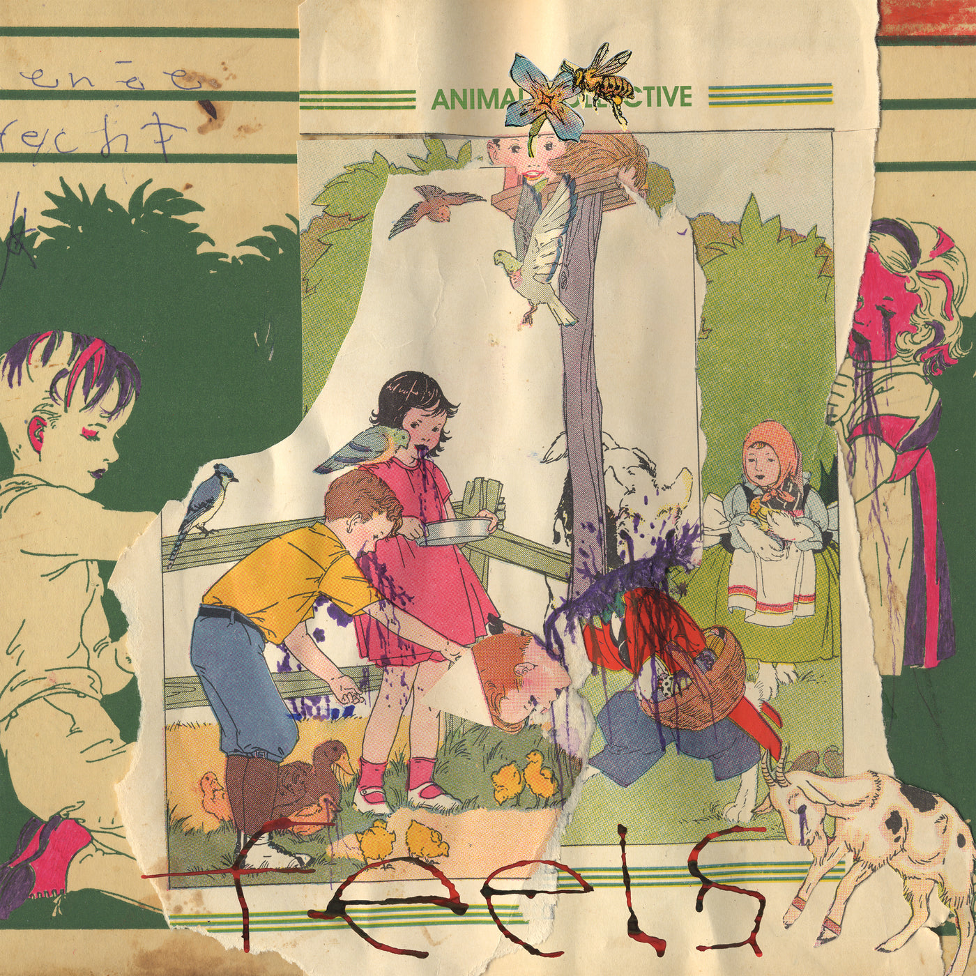ANIMAL COLLECTIVE - FEELS (2CDS)(BONUS DISC)