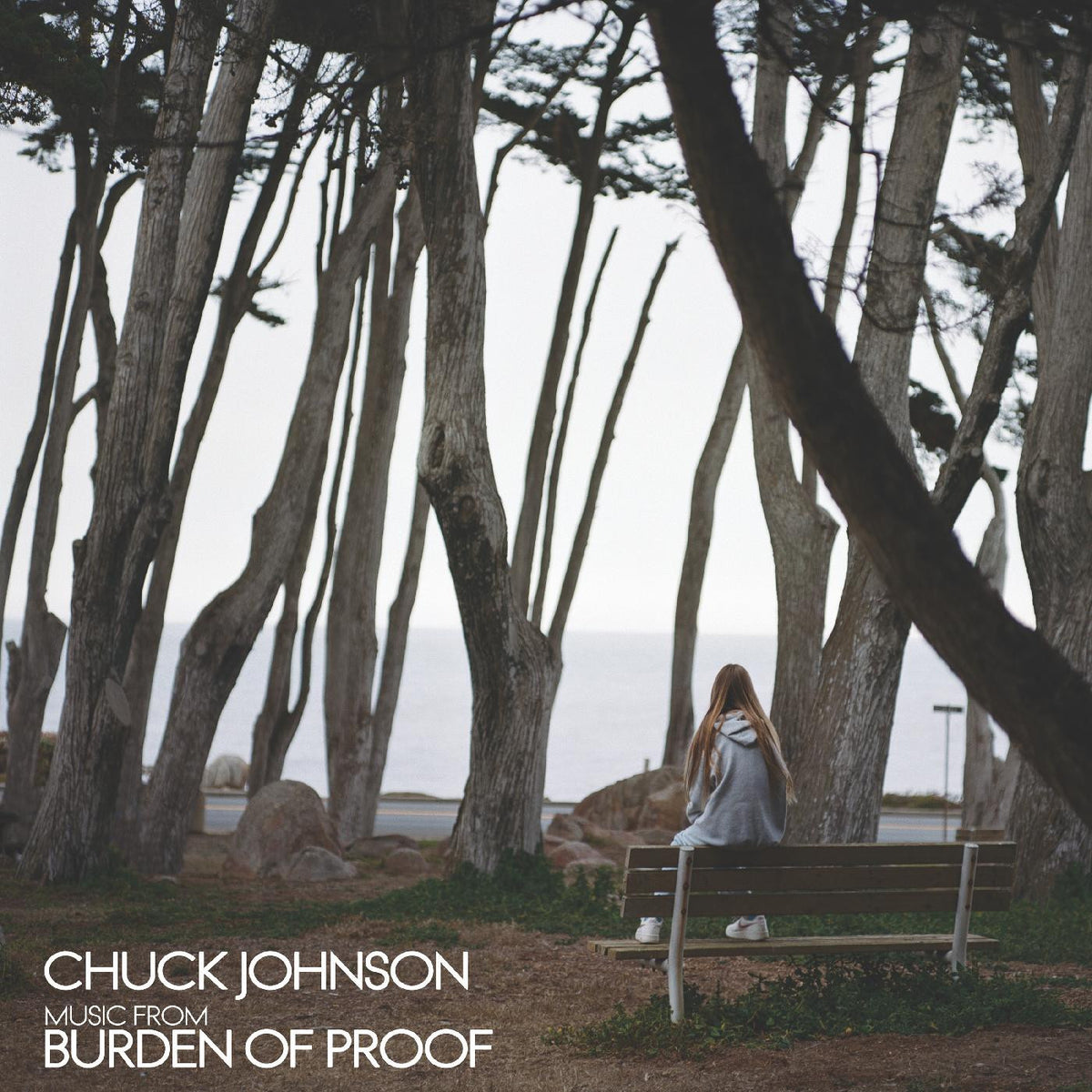 JOHNSON, CHUCK - BURDEN OF PROOF