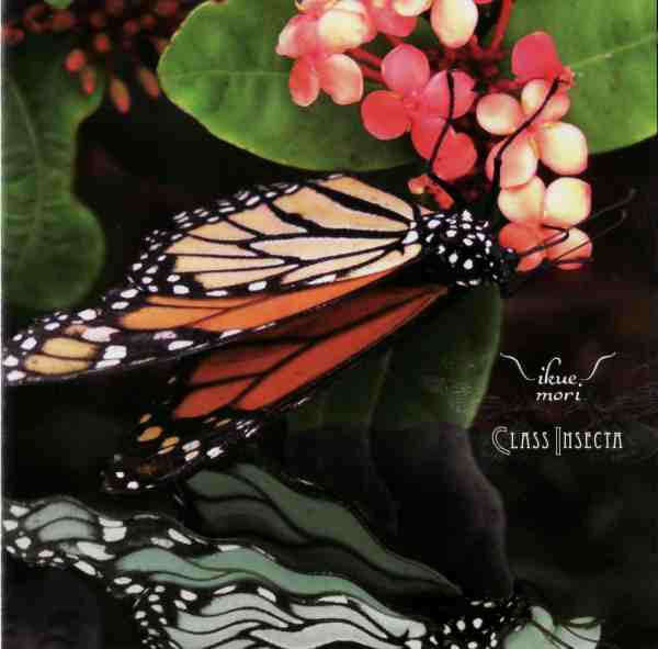 MORI, IKUE - CLASS INSECTA