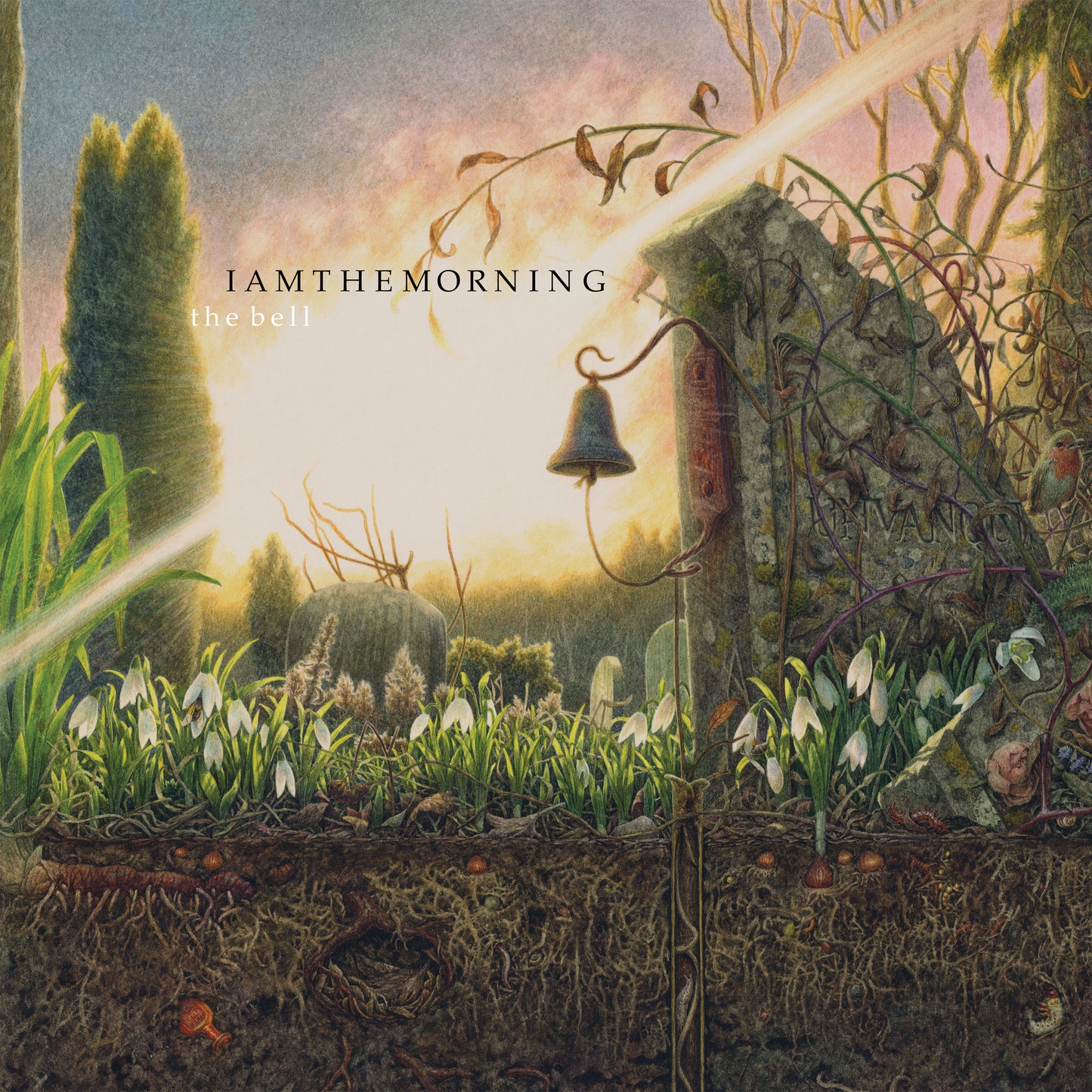 IAMTHEMORNING - BELL