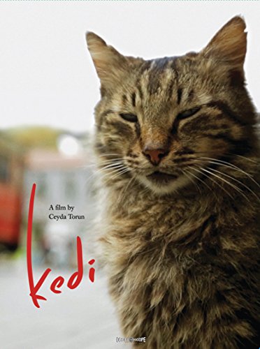 KEDI - DVD