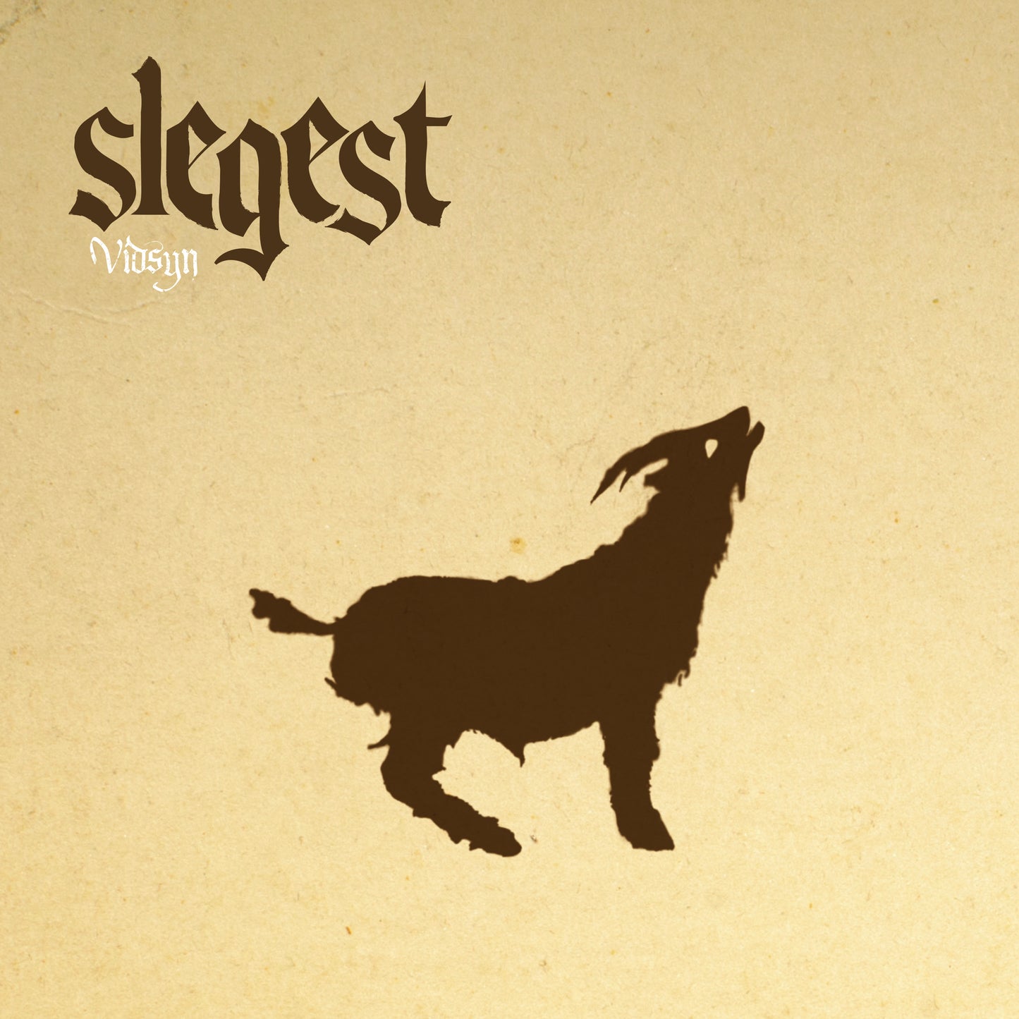 SLEGEST - VIDSYN