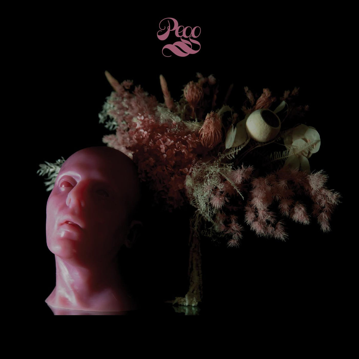 PEGG - PEGG (INDIE EXCLUSIVE, DELUXE EDITION, RED SPLATTER VINYL)