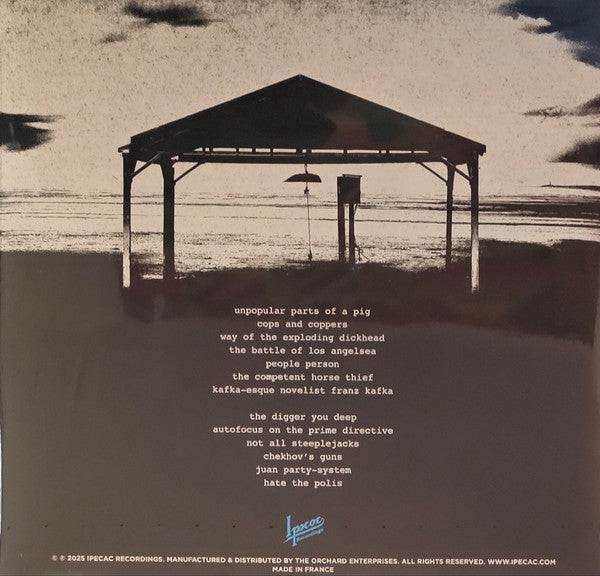 Mclusky - The World Is Still Here & So Are We (Used LP)