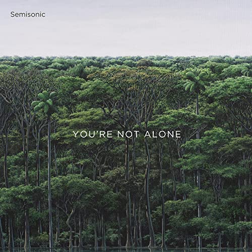 SEMISONIC - YOU'RE NOT ALONE (CD)
