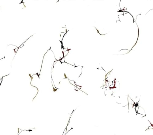 VARIOUS ARTISTS - WINGED SERPENTS - ENCOMIUMS FOR CECIL TAYLOR (CD)