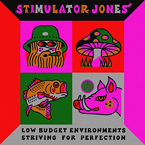 STIMULATOR JONES - LOW BUDGET ENVIRONMENTS STRIVING FOR PERFECTION (VINYL)