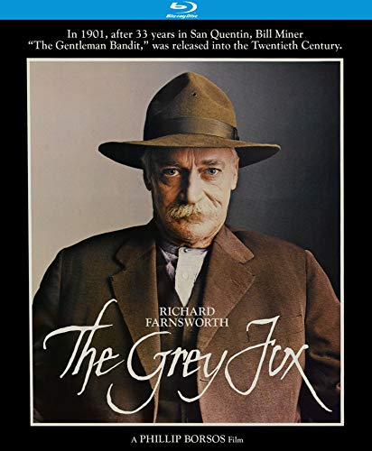 GREY FOX - BLU