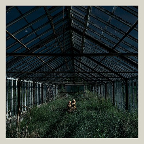 FOXING - DEALER (VINYL)