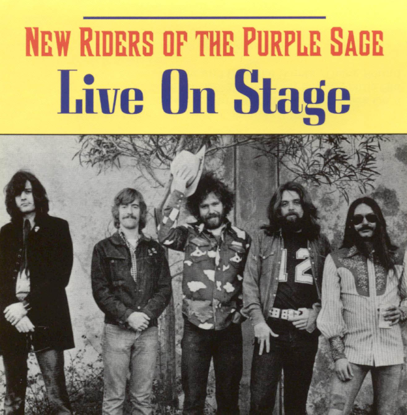 NEW RIDERS OF THE PURPLE SAGE - LIVE ON STAGE