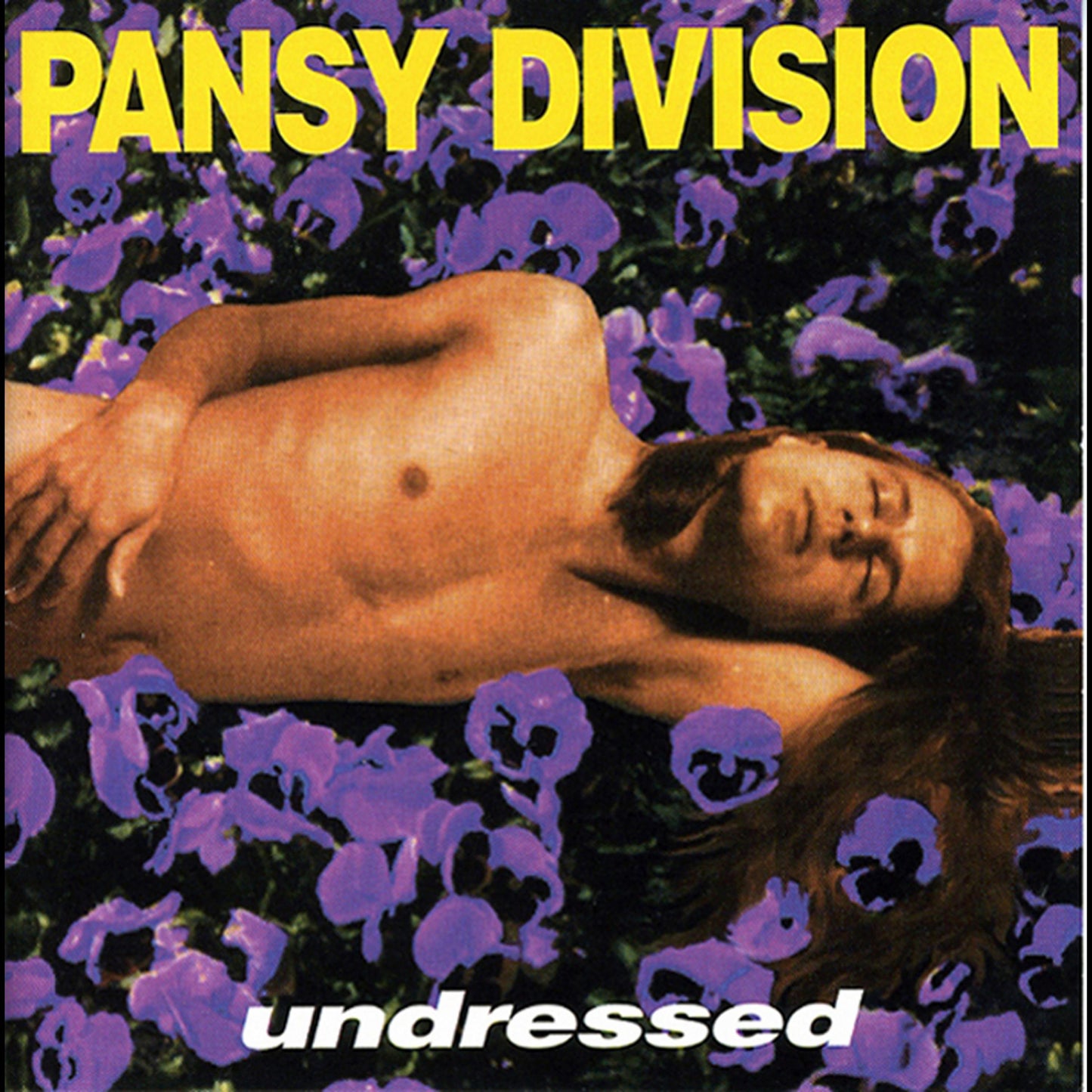 PANSY DIVISION - UNDRESSED