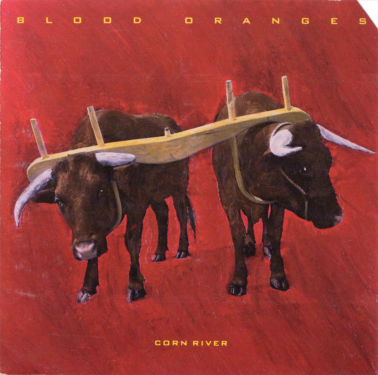 BLOOD ORANGES - CORN RIVER