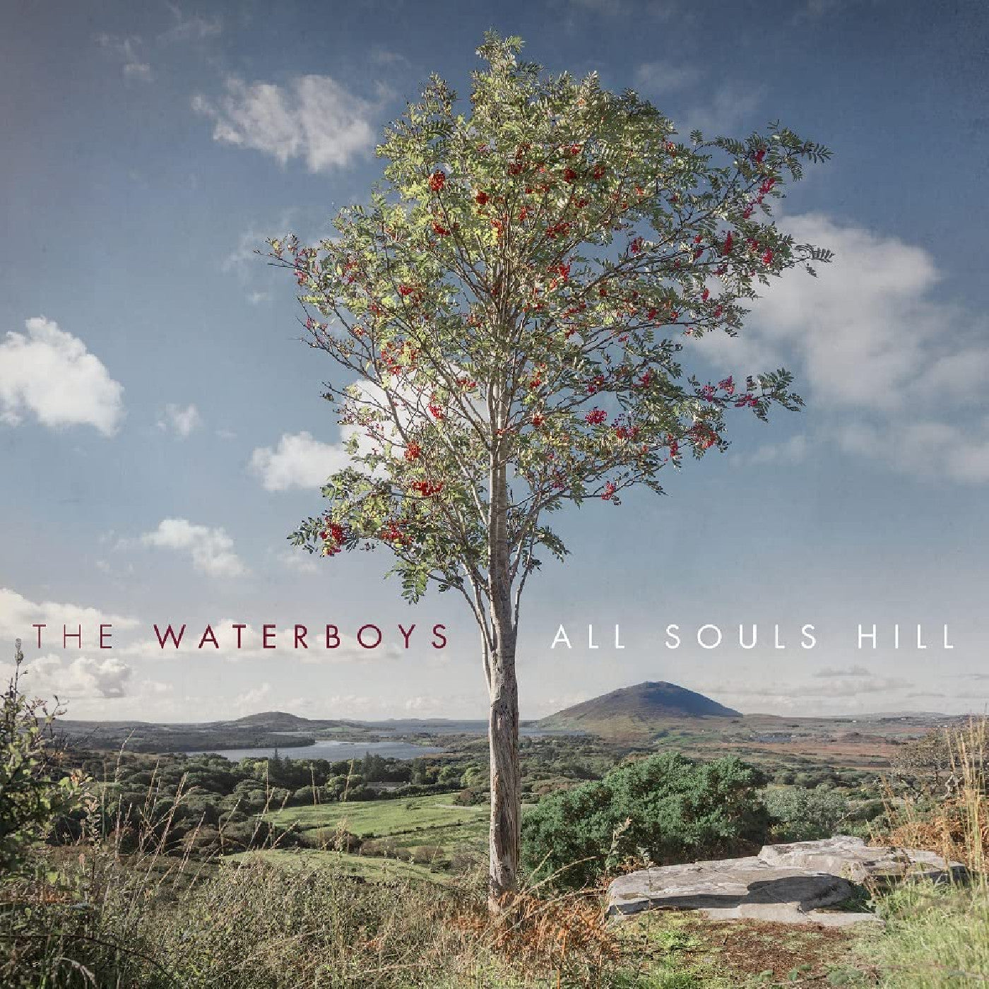 WATERBOYS, THE - ALL SOULS HILL