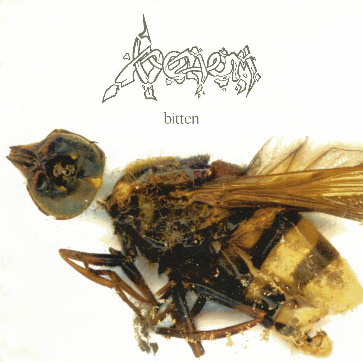 VENOM - BITTEN: LIVE