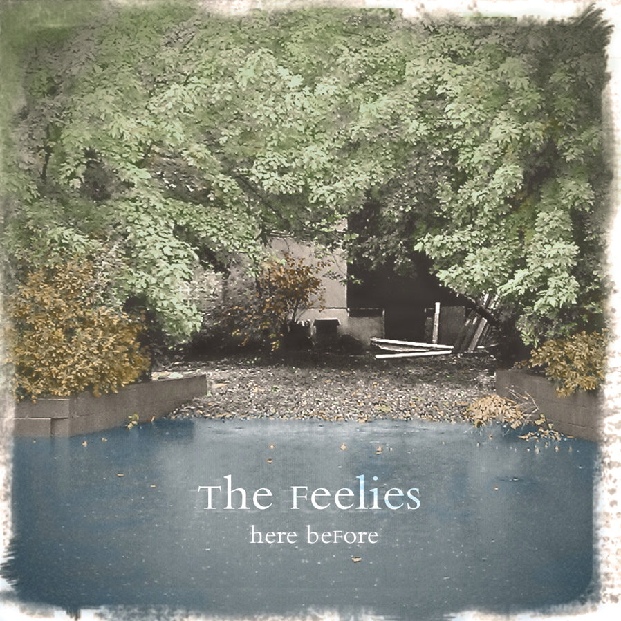 FEELIES - HERE BEFORE