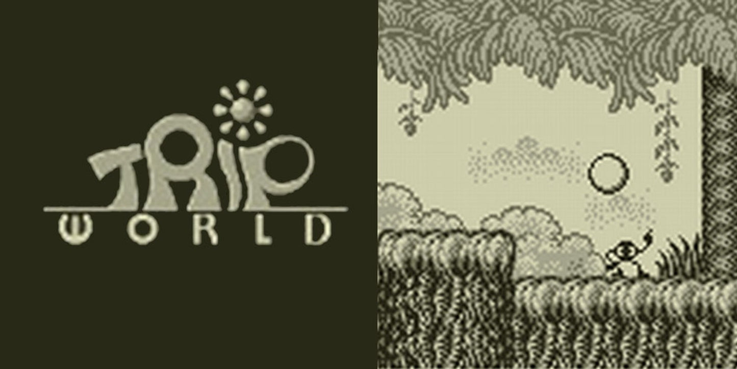 PHOTO WORLD - 3DS