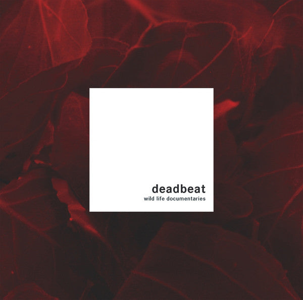 DEADBEAT - WILD LIFE DOCUMENTARIES